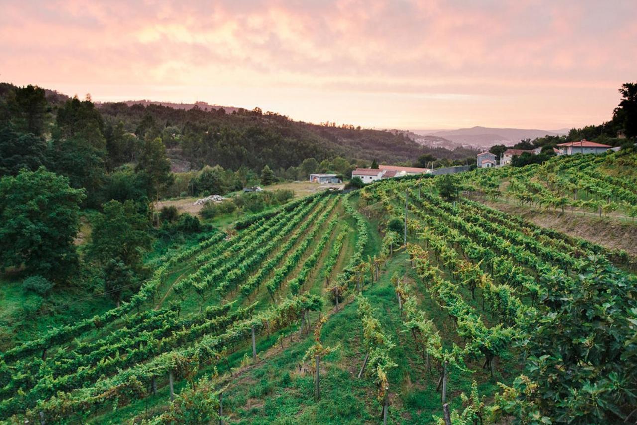 Casa di campagna Quinta Da Longra Vizela